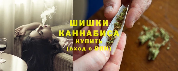 PSILOCYBIN Бугульма