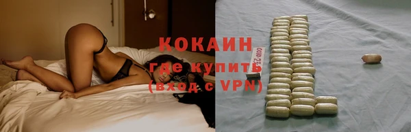 СК Няндома