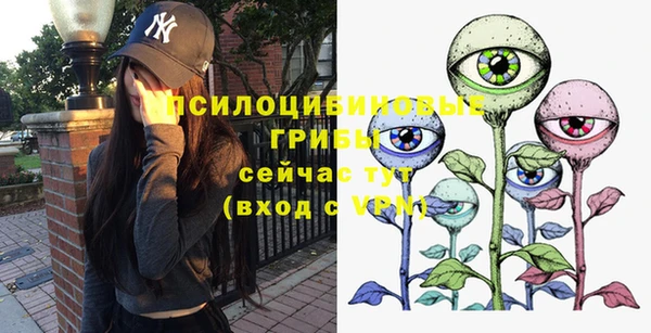 стаф Нягань