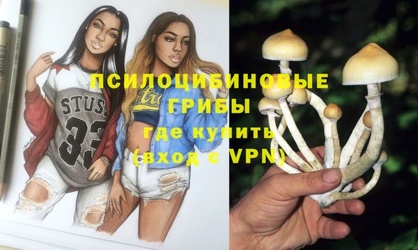 PSILOCYBIN Бугульма