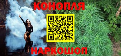 индика Бийск