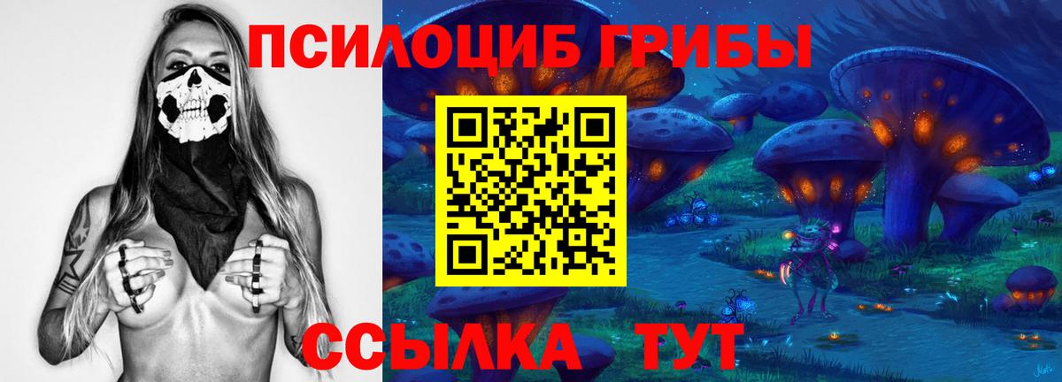 Псилоцибиновые грибы ЛСД  Йошкар-Ола 